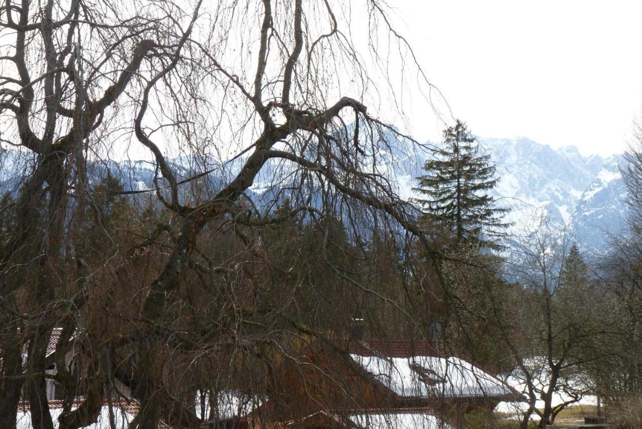 Bergpanorama Haus Hopfner Apartment Garmisch-Partenkirchen Bagian luar foto